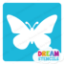 Picture of Butterfly -Vinyl Stencil -101